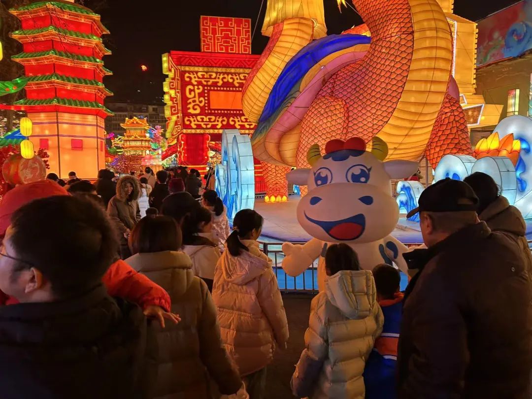 央視直播鄭州龍年燈會(huì)迎新春，花花牛品牌上大分