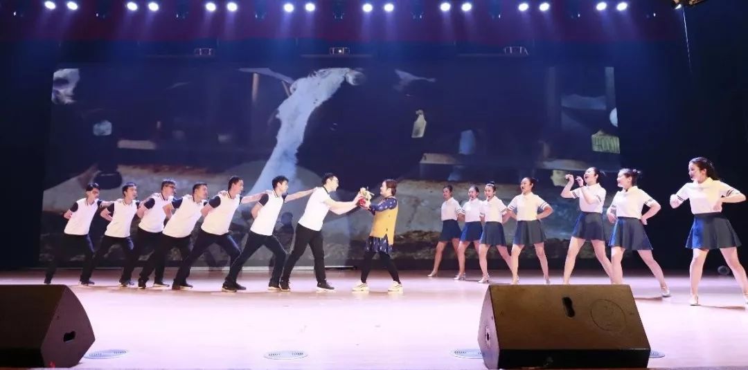 “贏在2019”，花花牛乳業(yè)集團2019年新春晚會盛大開幕