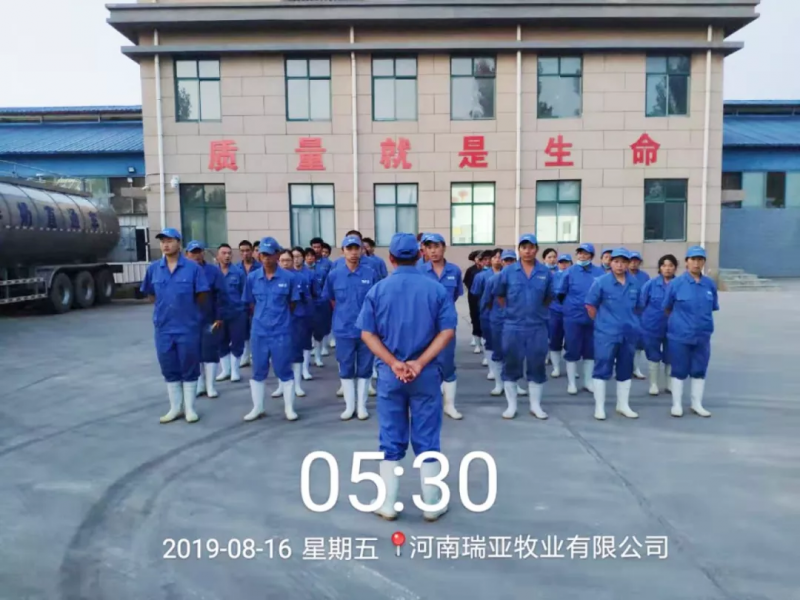 小晨會(huì)·大能量——砥礪奮進(jìn)的花花牛，加油！